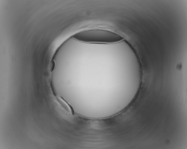 X0000112821520200909181613