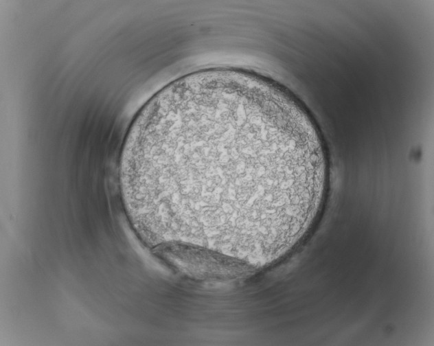 X0000112821521200909181613