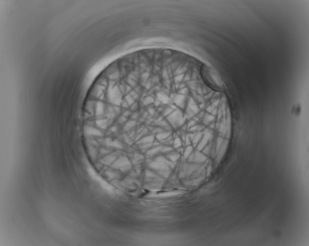 X0000112821527200909181613