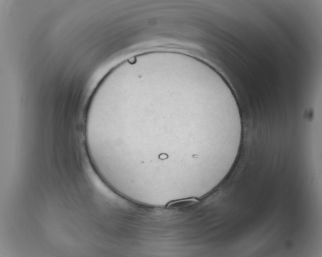 X0000112821531200909181613