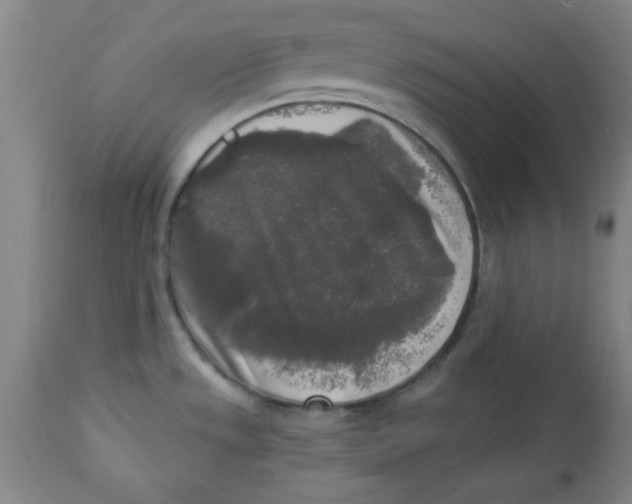 X0000112821533200909181613