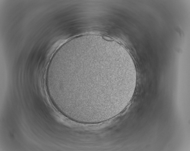 X0000112820001200910021211