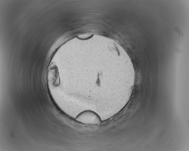 X0000112820004200910021211