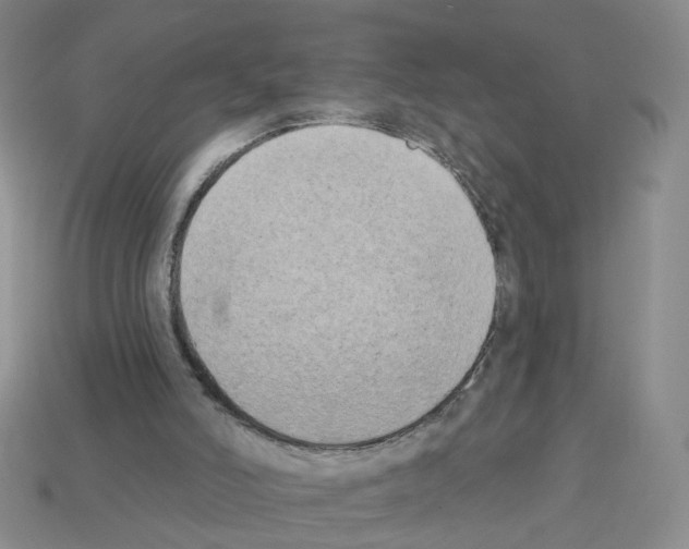 X0000112820006200910021211