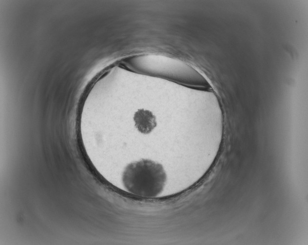 X0000112820008200910021211