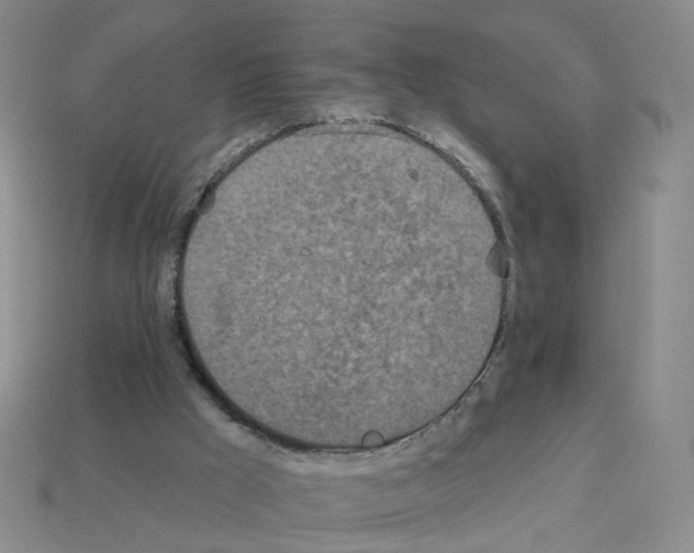 X0000112820009200910021211