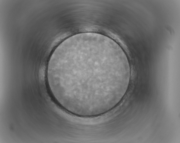 X0000112820010200910021211