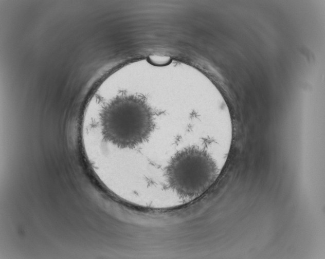 X0000112820012200910021211