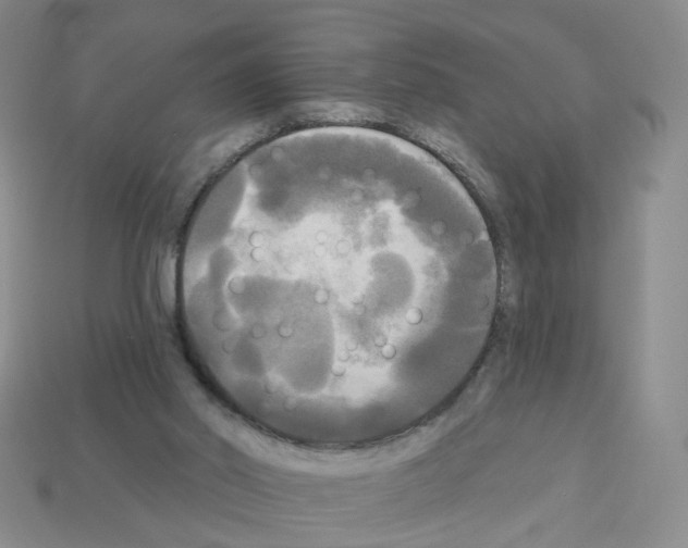 X0000112820014200910021211