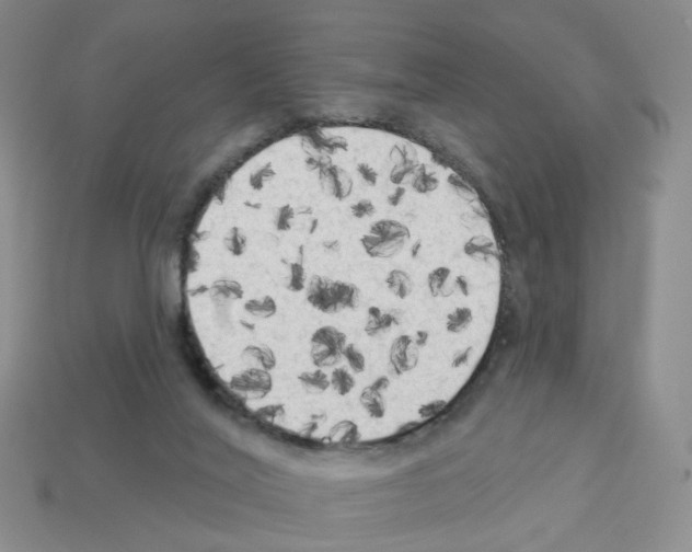 X0000112820020200910021211