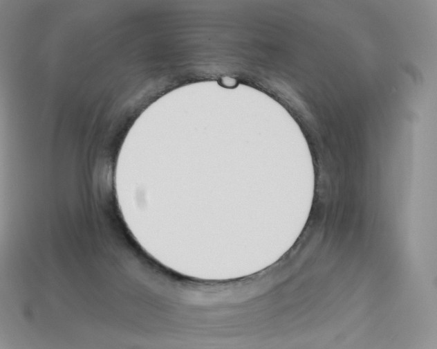 X0000112820021200910021211