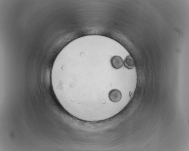 X0000112820022200910021211