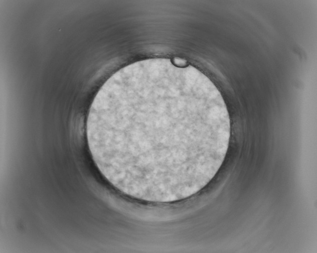 X0000112820024200910021211