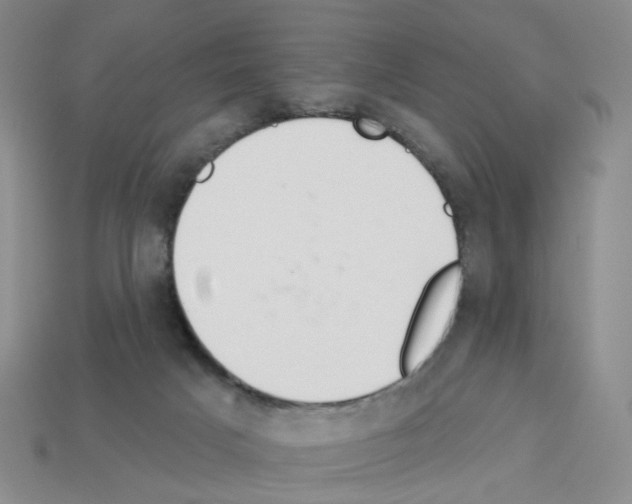 X0000112820025200910021211