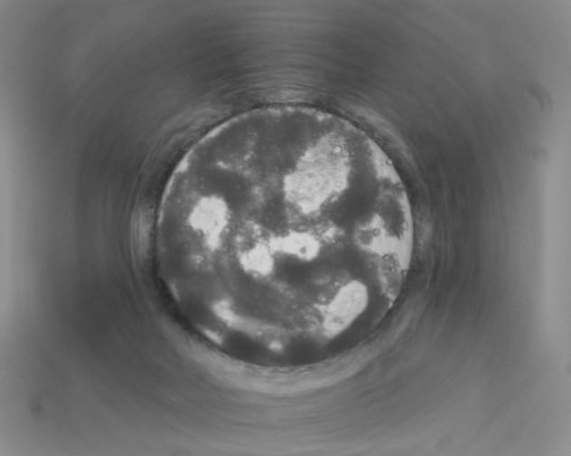 X0000112820026200910021211