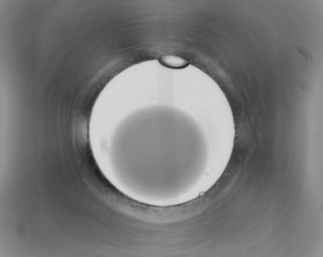 X0000112820027200910021211