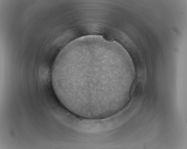 X0000112820029200910021211