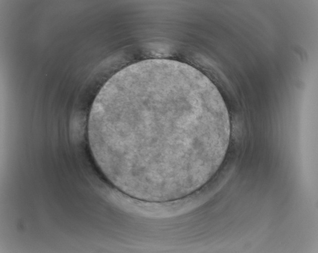 X0000112820030200910021211