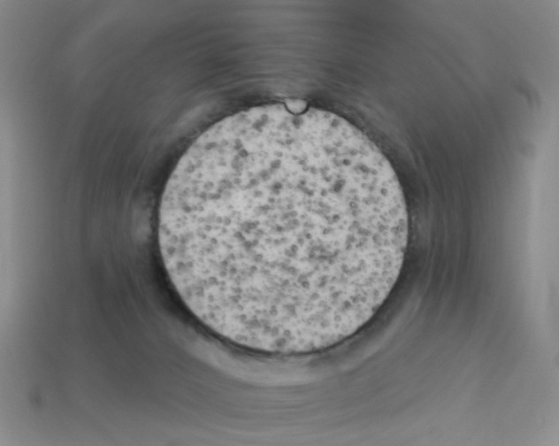 X0000112820032200910021211