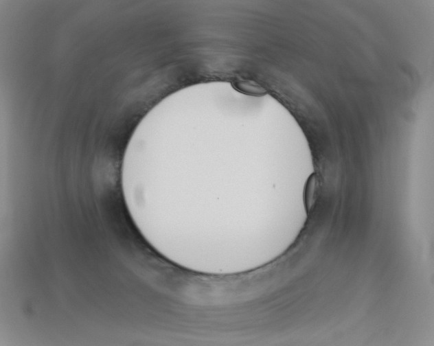 X0000112820033200910021211