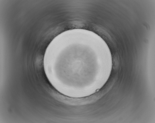 X0000112820034200910021211