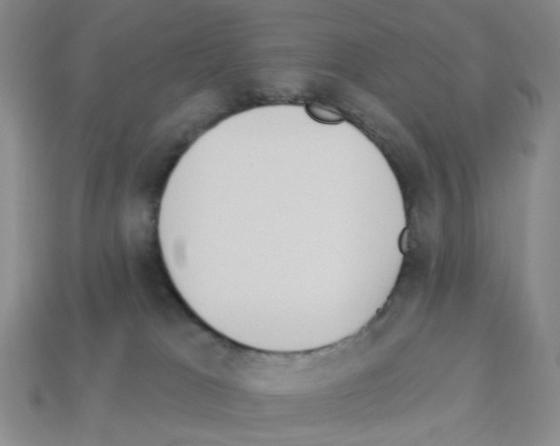 X0000112820037200910021211