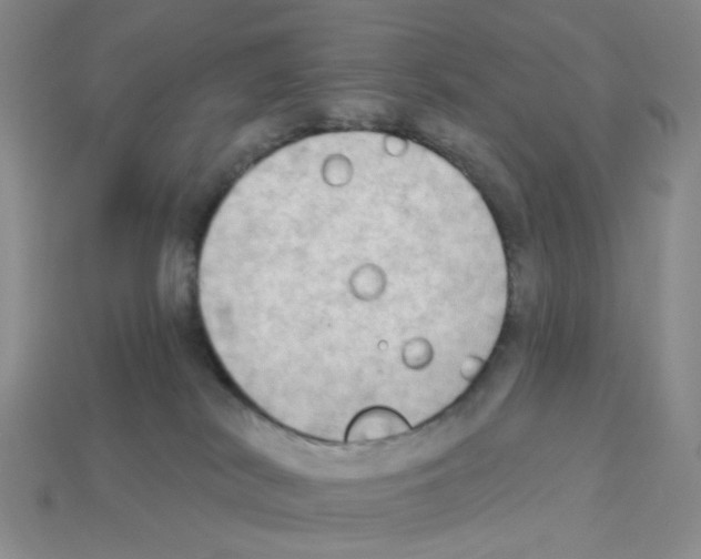 X0000112820038200910021211