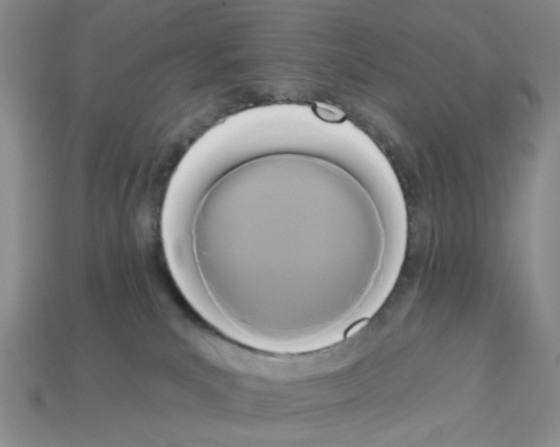 X0000112820039200910021211