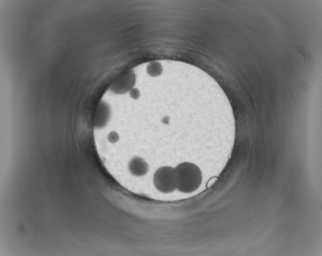 X0000112820040200910021211