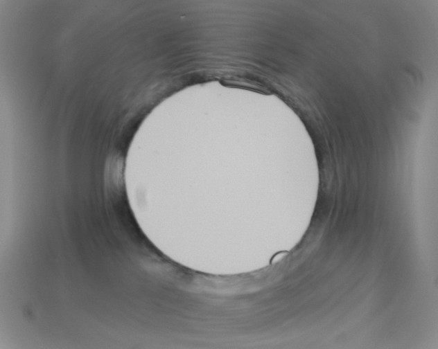 X0000112820041200910021211