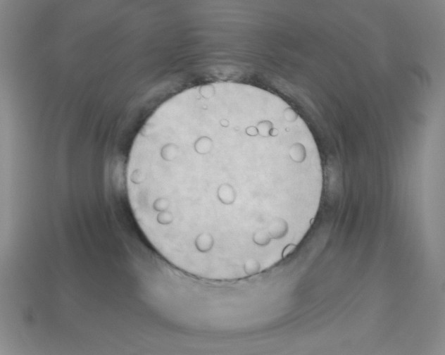 X0000112820042200910021211