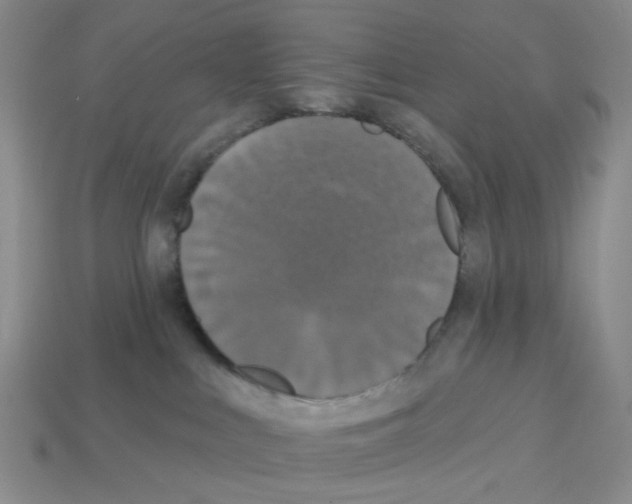 X0000112820043200910021211