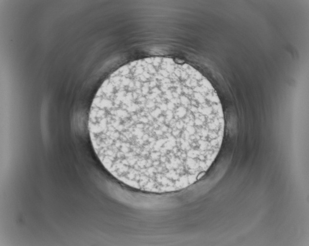 X0000112820044200910021211