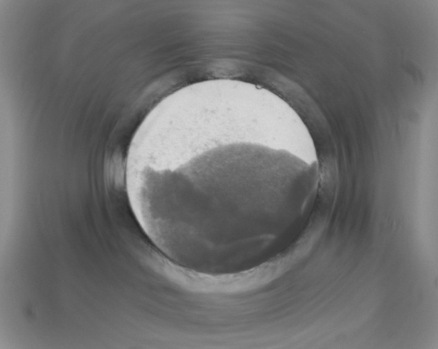 X0000112820046200910021211