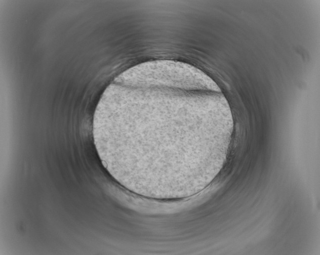 X0000112820048200910021211