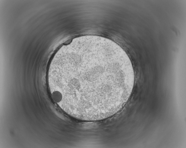 X0000112820050200910021210