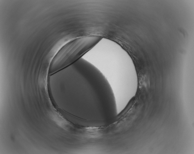 X0000112820052200910021210