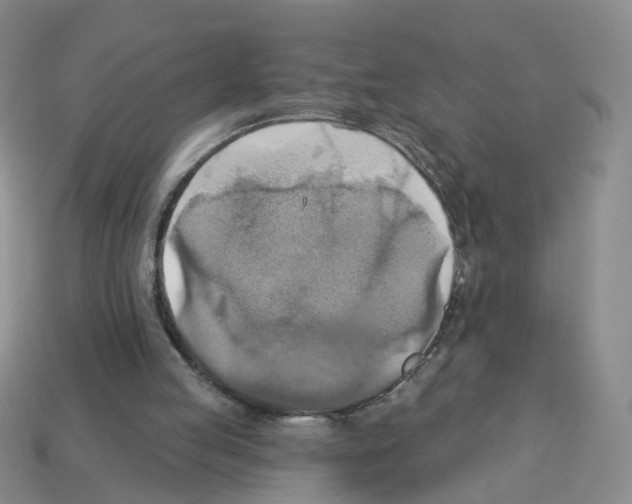 X0000112820053200910021210