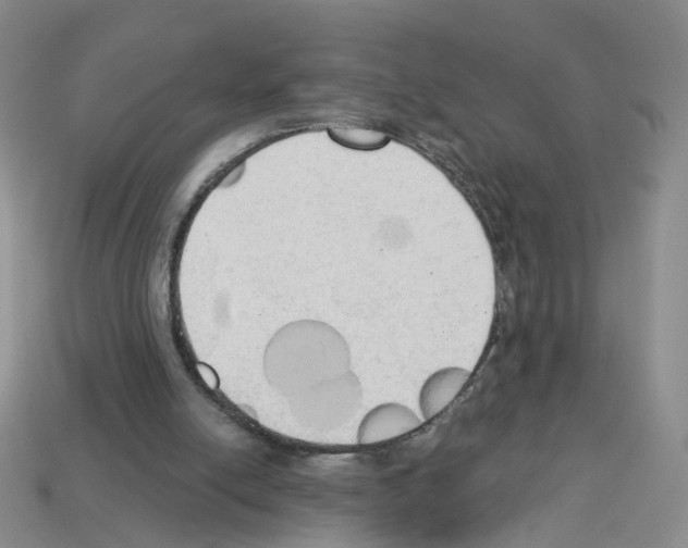 X0000112820054200910021210