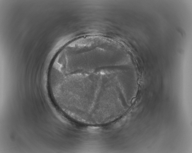 X0000112820055200910021210