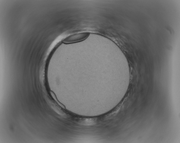 X0000112820056200910021210