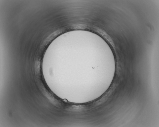 X0000112820057200910021210