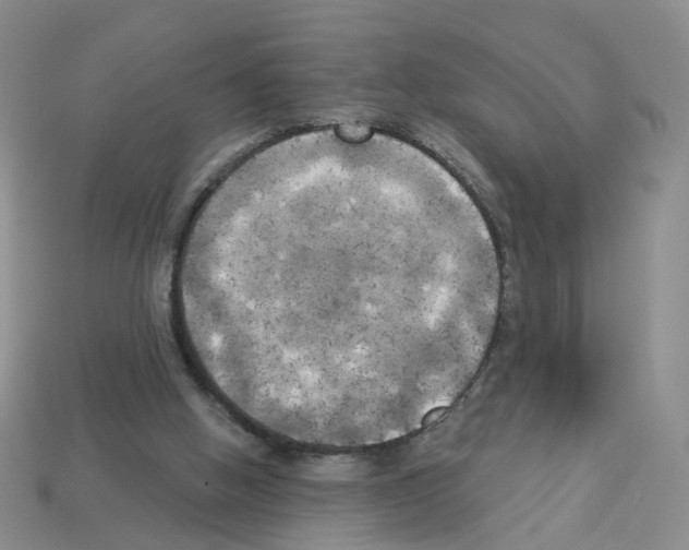 X0000112820058200910021210