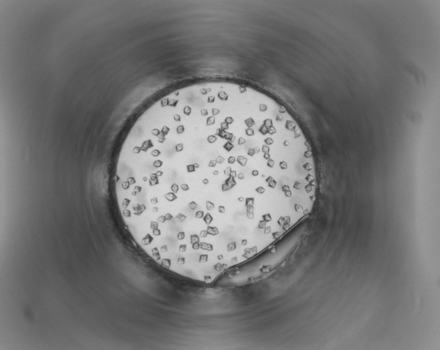 X0000112820060200910021210