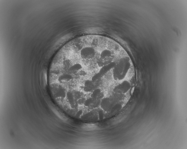 X0000112820061200910021210