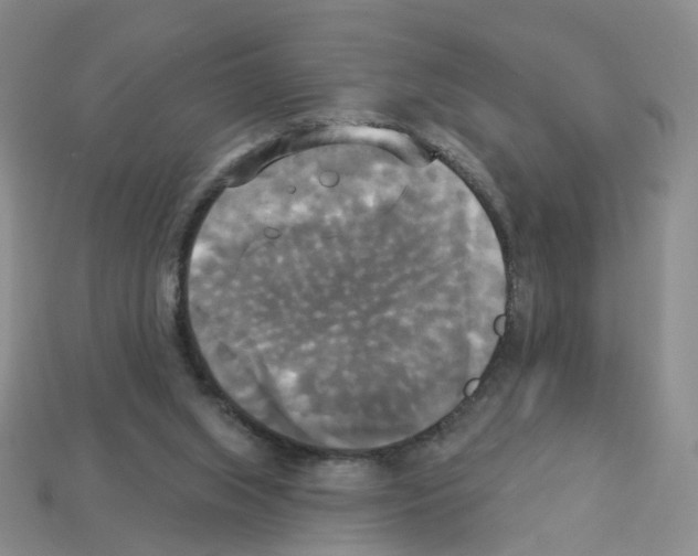 X0000112820063200910021210