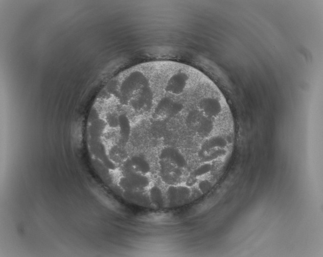 X0000112820065200910021210