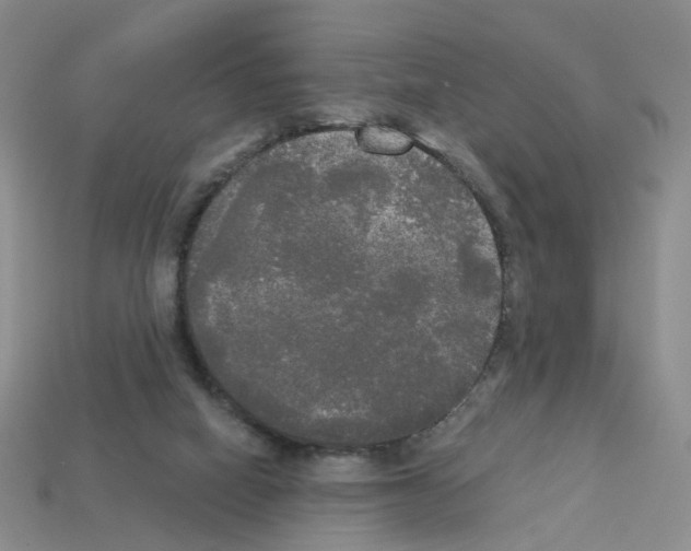 X0000112820066200910021210