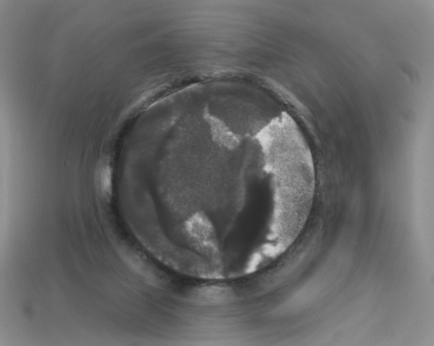 X0000112820067200910021210