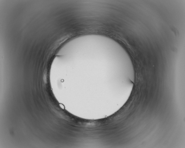 X0000112820068200910021210